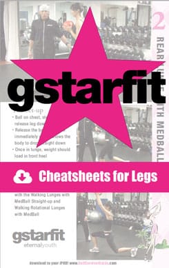 Gstar Leg Cheat Sheets